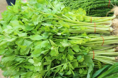 Belgili tanımlık çarşı içinde yemek pişirmek için kereviz sebze