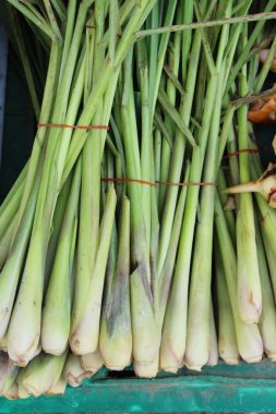 Taze limon otu içinde belgili tanımlık çarşı