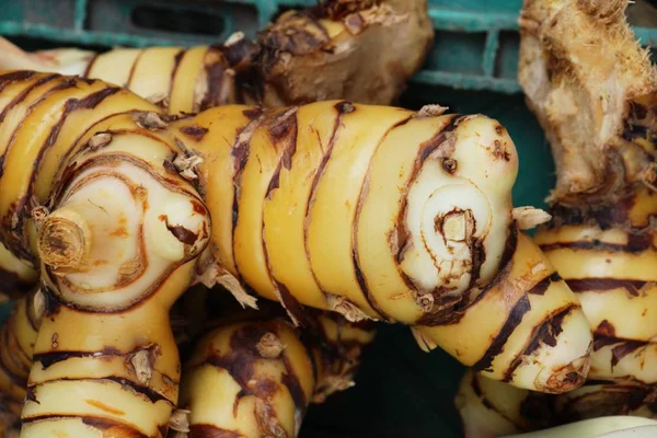 Belgili tanımlık çarşı içinde yemek pişirmek için taze havlıcan — Stok fotoğraf