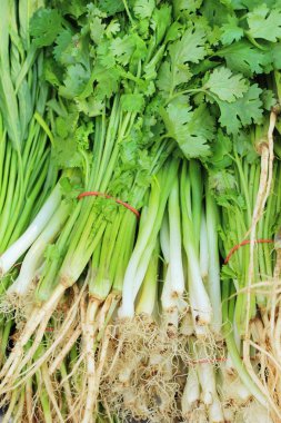 Taze soğan ve kişniş içinde belgili tanımlık çarşı