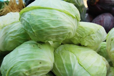 Bahçe doğa ile baş lahana