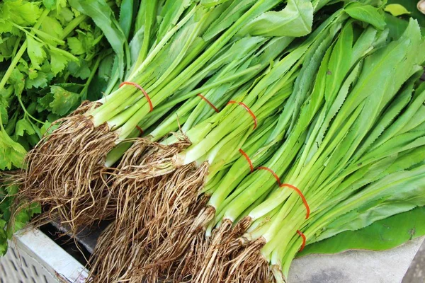 Salsa fresca Ásia para cozinhar no mercado — Fotografia de Stock