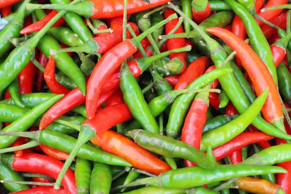 Fresh chilli for cooking in the market — Stock Photo, Image