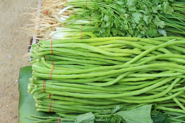 Haricot long pour cuisiner sur le marché — Photo