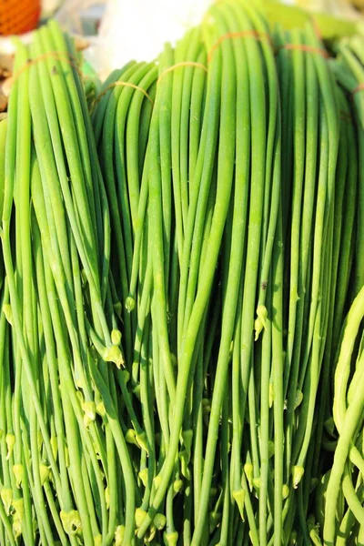 Onion flower stem for cooking in market — Stock Photo, Image