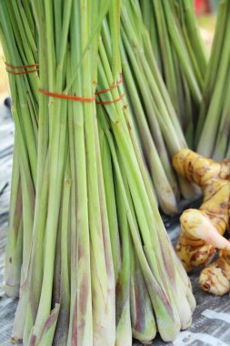 Taze limon otu pazarda yemek pişirmek için