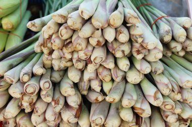 Taze limon otu pazarda yemek pişirmek için