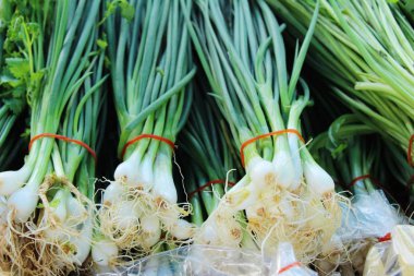 İçinde belgili tanımlık çarşı taze soğan