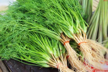 Belgili tanımlık çarşı içinde yemek pişirmek için taze kişniş