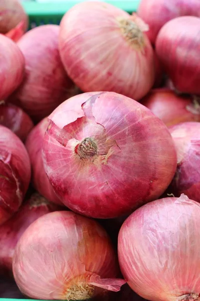 Chalota - la cebolla asiática roja para a la cocción — Foto de Stock