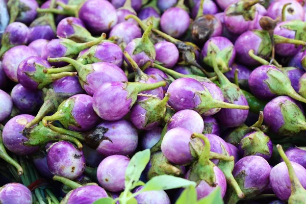 Aubergine fraîche pourpre bio sur le marché — Photo