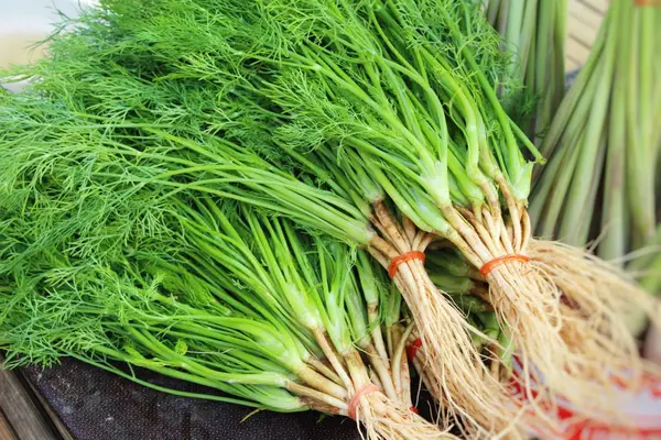 Coriandolo fresco per cucinare nel mercato — Foto Stock