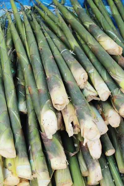 Tatlı bambu markette yemek pişirmek için ateş — Stok fotoğraf