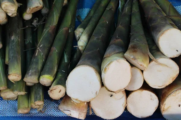 Süße Bambussprossen zum Kochen auf dem Markt — Stockfoto