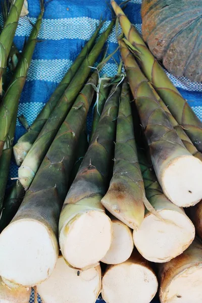 Tatlı bambu markette yemek pişirmek için ateş — Stok fotoğraf