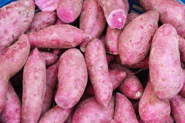 Taze yam pişirme için piyasada