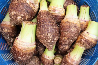 pazarda yemek için taze taro kök