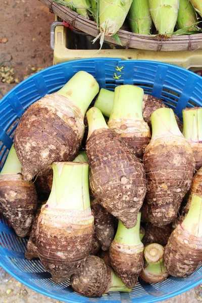 Fresh taro root for cooking in market — Stock Photo, Image