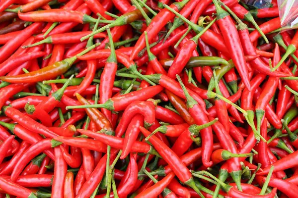 Fresh chilli for cooking in the market — Stock Photo, Image