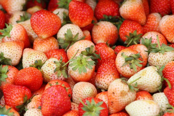 Fraises fraîches est délicieux à la nourriture de rue — Photo