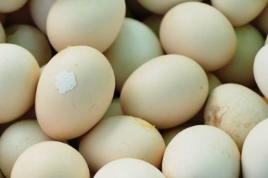 Haşlanmış yumurta lezzetli içinde belgili tanımlık çarşı