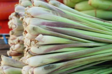 Taze limon otu pazarda yemek pişirmek için