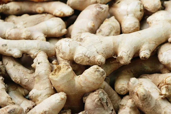 Belgili tanımlık çarşı içinde yemek pişirmek için zencefil kökü — Stok fotoğraf