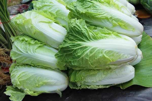 Fresh cabbage for cooking in the market — Stock Photo, Image