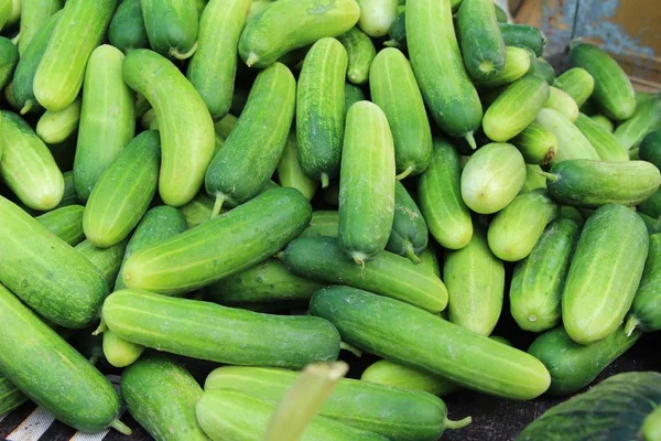 Cetrioli freschi per cucinare sul mercato — Foto Stock