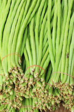 Belgili tanımlık çarşı içinde yemek pişirmek için uzun fasulye