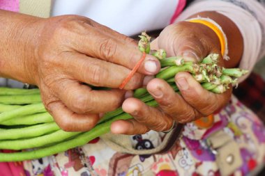 Belgili tanımlık çarşı içinde yemek pişirmek için uzun fasulye