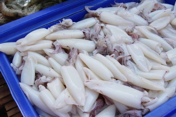 Calamares frescos para cocinar en el mercado — Foto de Stock