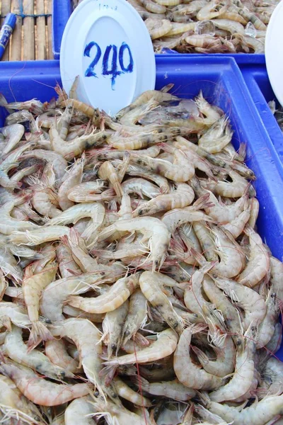 Свежие креветки для приготовления пищи на рынке — стоковое фото