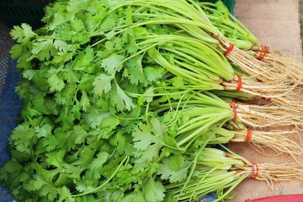 Fresh coriander for cooking in the market