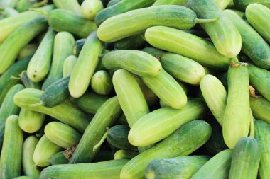 Belgili tanımlık çarşı içinde yemek pişirmek için taze salatalık