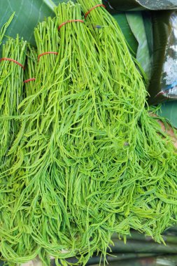 Akasya pennata belgili tanımlık çarşı içinde yemek pişirmek için