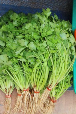 Belgili tanımlık çarşı içinde yemek pişirmek için taze kişniş