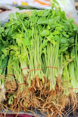 Belgili tanımlık çarşı içinde yemek pişirmek için kereviz sebze