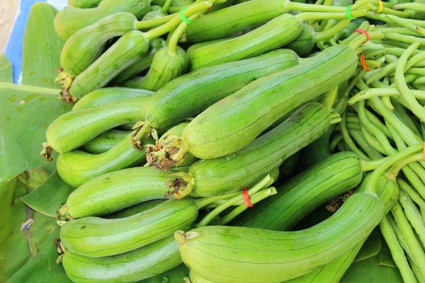 Verse komkommers voor het koken op de markt — Stockfoto
