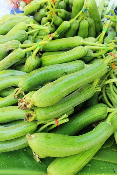 Pepinos frescos para cocinar en el mercado —  Fotos de Stock