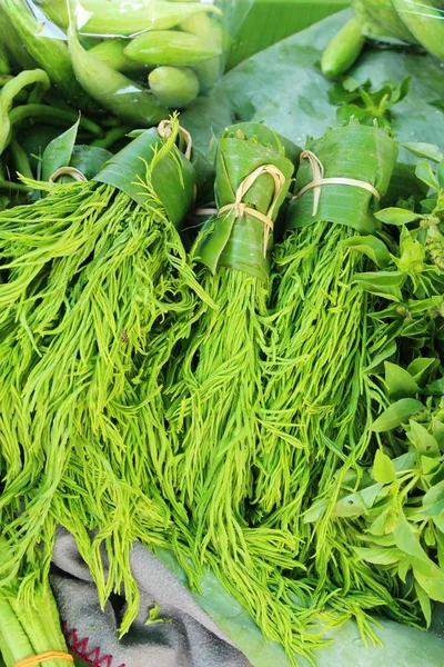 Acacia pennata for cooking in the market — Stock Photo, Image