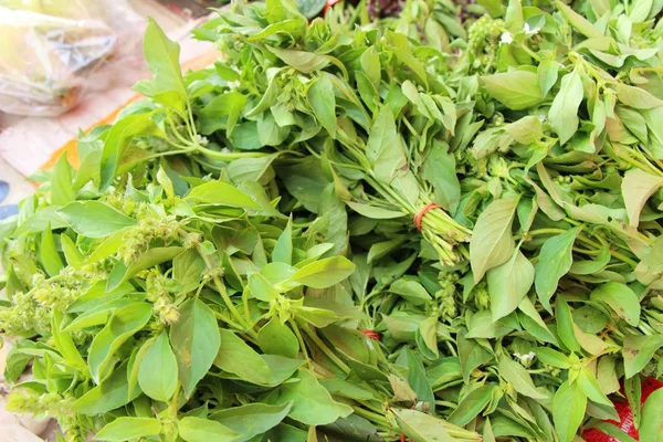 Basil in the market — Stock Photo, Image