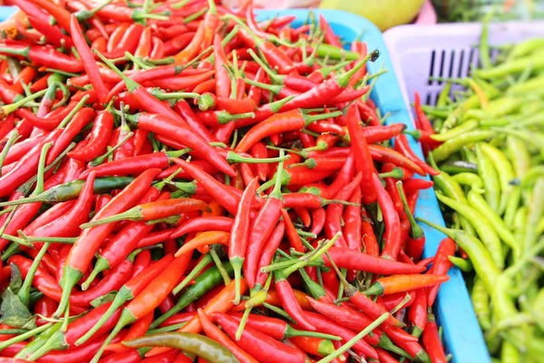 Fresh chilli for cooking in the market — Stock Photo, Image