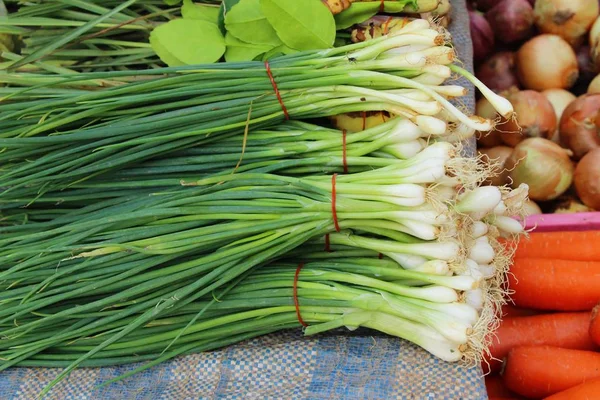 Свежий весенний лук на рынке — стоковое фото