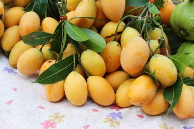 Tay plango meyve ya da marian Erik sokak gıda