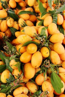 Tay plango meyve ya da marian Erik sokak gıda