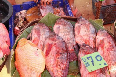 Marke içinde yemek pişirmek için taze balık