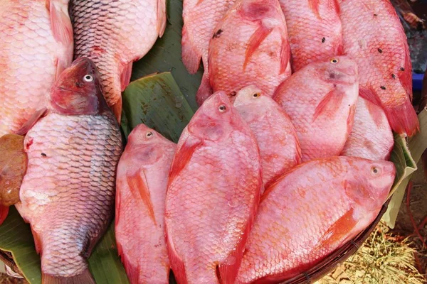 Pescado fresco para cocinar en la marca — Foto de Stock