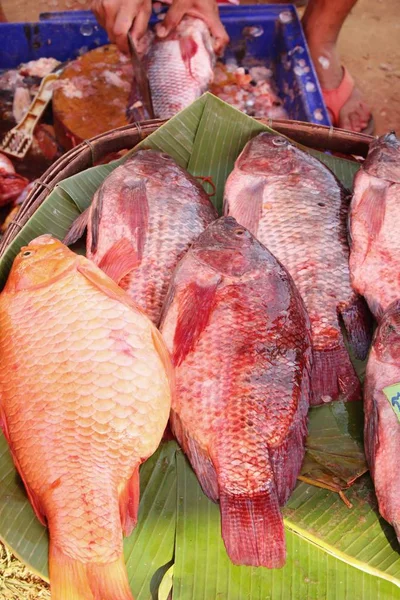 Świeżych ryb do gotowania w marke — Zdjęcie stockowe