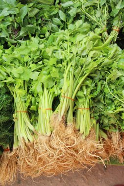 Belgili tanımlık çarşı içinde yemek pişirmek için kereviz sebze